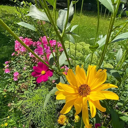 Prázdninový dům Haus Lois