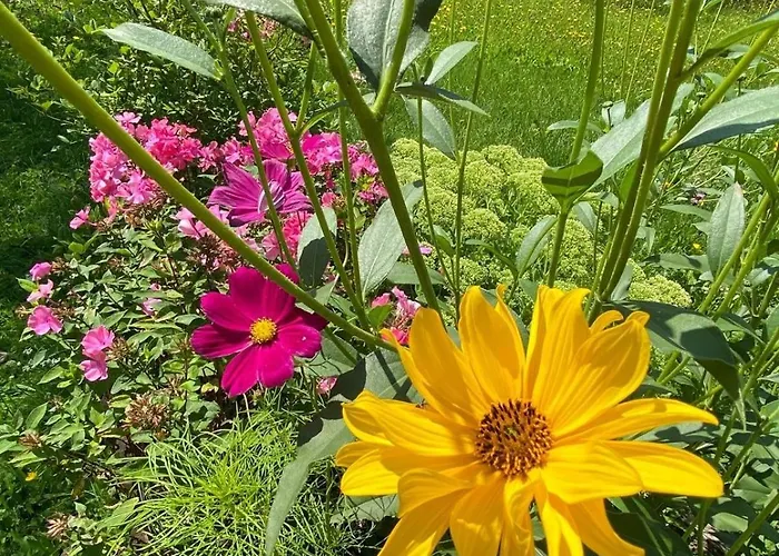 בית נופש Haus Lois