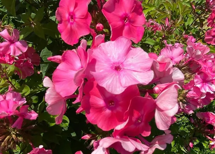 בית נופש Haus Lois