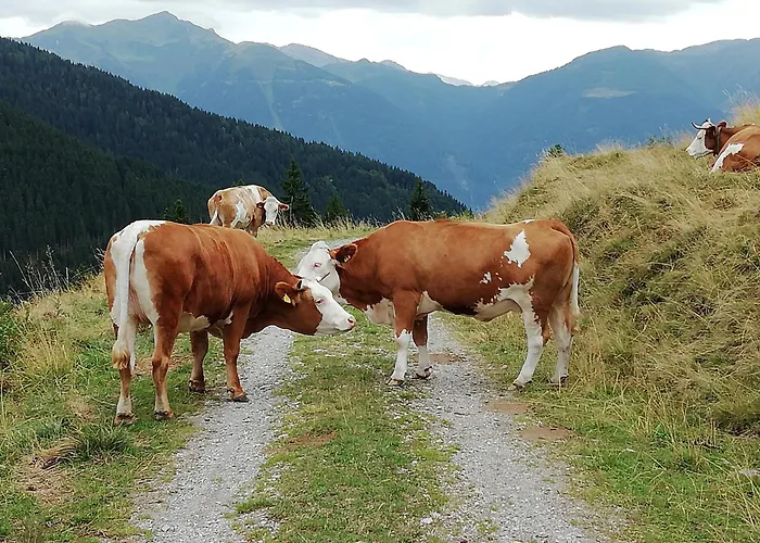 בית נופש Haus Lois וויסבריאך