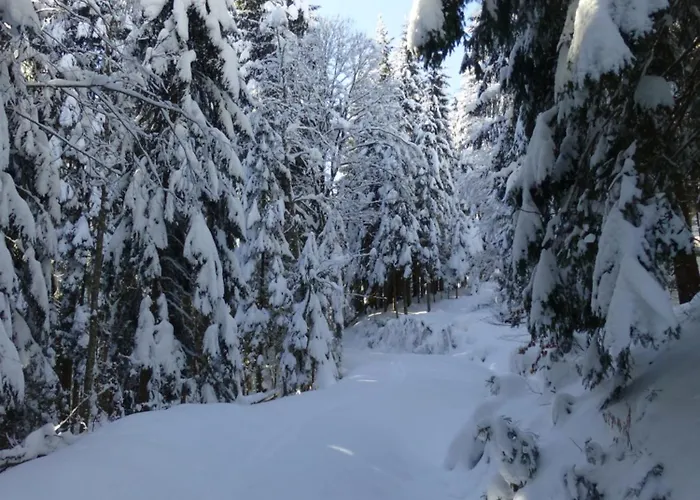 בית נופש Haus Lois